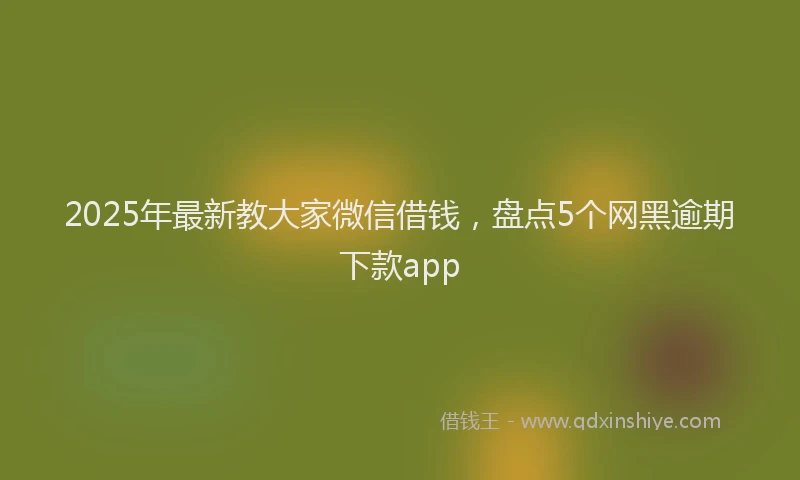 2025年最新教大家微信借钱，盘点5个网黑逾期下款app