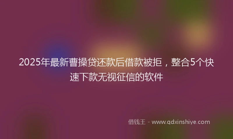 2025年最新曹操贷还款后借款被拒，整合5个快速下款无视征信的软件