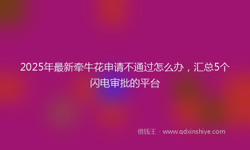2025年最新牵牛花申请不通过怎么办，汇总5个闪电审批的平台