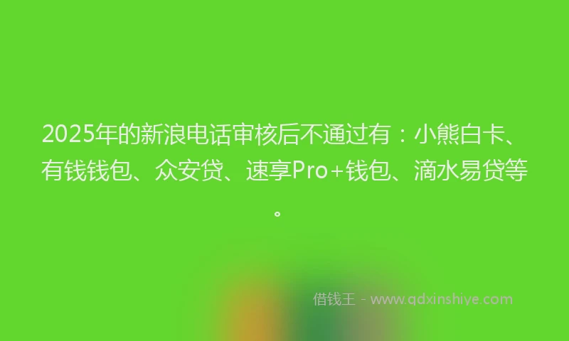2025年的新浪电话审核后不通过有：小熊白卡、有钱钱包、众安贷、速享Pro+钱包、滴水易贷等。