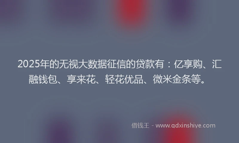 2025年的无视大数据征信的贷款有：亿享购、汇融钱包、享来花、轻花优品、微米金条等。