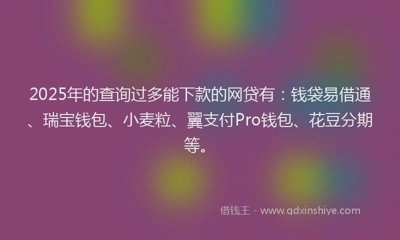 2025年的查询过多能下款的网贷有：钱袋易借通、瑞宝钱包、小麦粒、翼支付Pro钱包、花豆分期等。