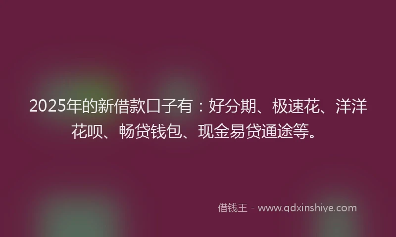 2025年的新借款口子有：好分期、极速花、洋洋花呗、畅贷钱包、现金易贷通途等。