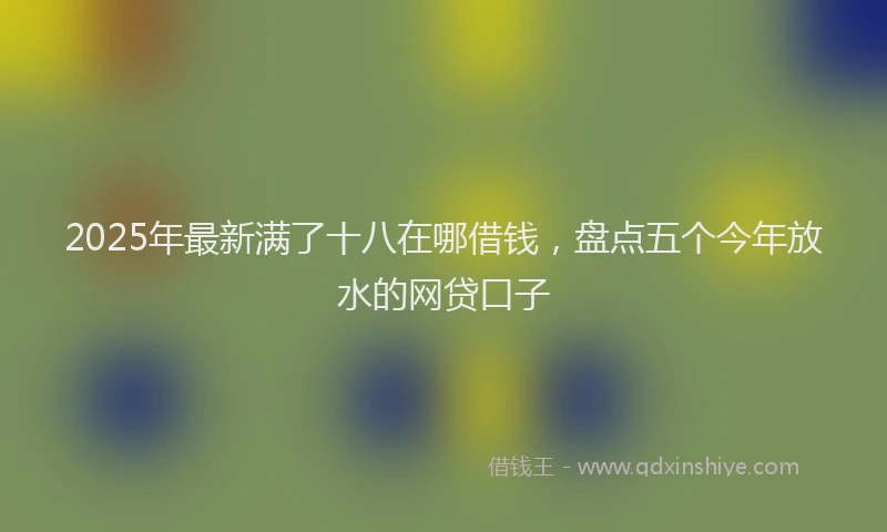 2025年最新满了十八在哪借钱，盘点五个今年放水的网贷口子