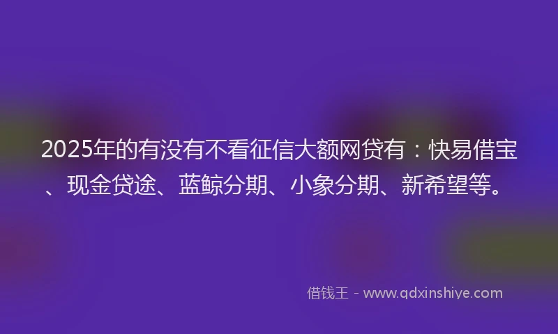 2025年的有没有不看征信大额网贷有：快易借宝、现金贷途、蓝鲸分期、小象分期、新希望等。