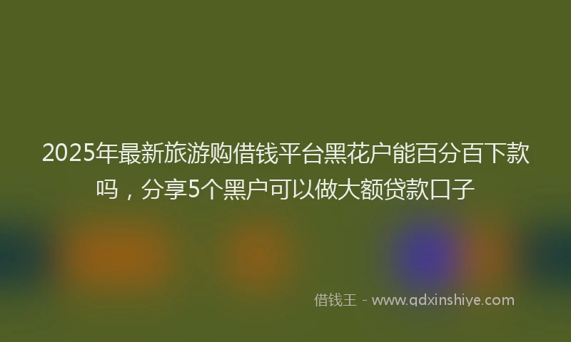 2025年最新旅游购借钱平台黑花户能百分百下款吗，分享5个黑户可以做大额贷款口子