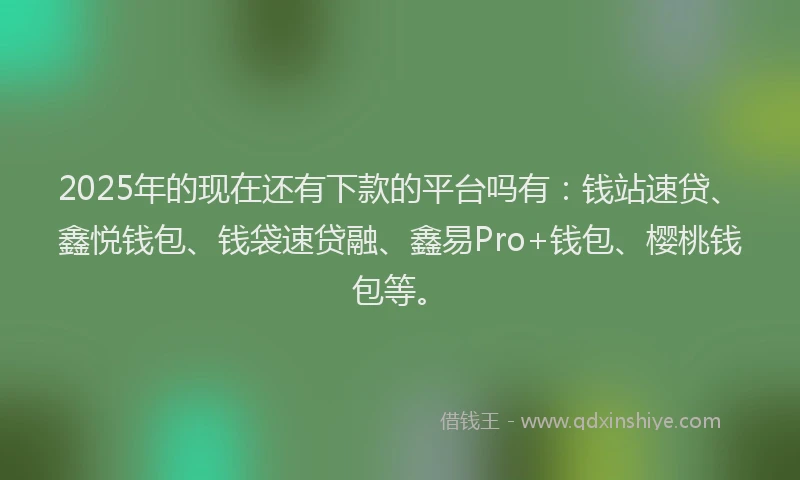 2025年的现在还有下款的平台吗有：钱站速贷、鑫悦钱包、钱袋速贷融、鑫易Pro+钱包、樱桃钱包等。
