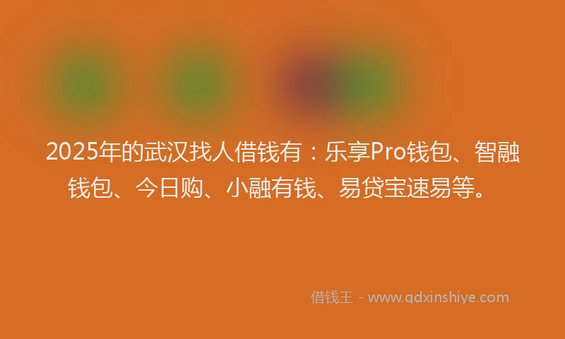 2025年的武汉找人借钱有:乐享Pro钱包、智融钱包、今日购、小融有钱、易贷宝速易等。