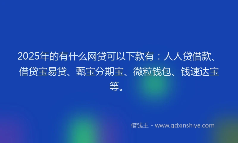2025年的有什么网贷可以下款有：人人贷借款、借贷宝易贷、甄宝分期宝、微粒钱包、钱速达宝等。