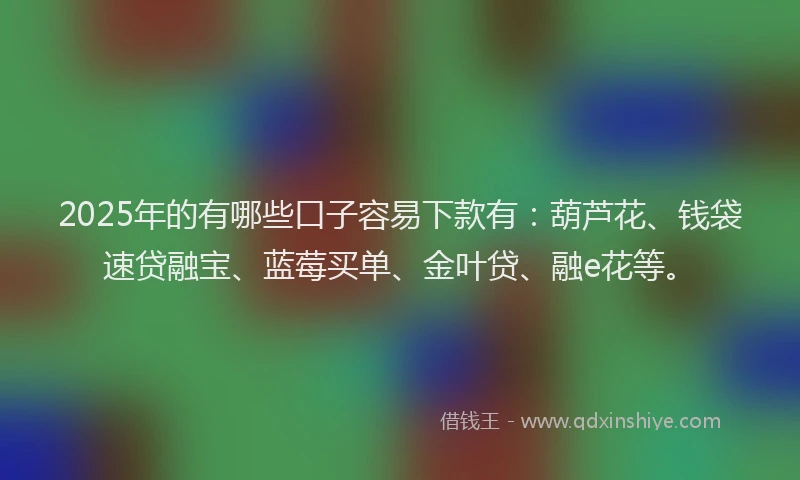 2025年的有哪些口子容易下款有：葫芦花、钱袋速贷融宝、蓝莓买单、金叶贷、融e花等。