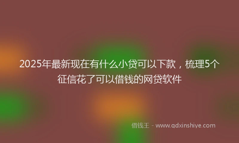 2025年最新现在有什么小贷可以下款，梳理5个征信花了可以借钱的网贷软件