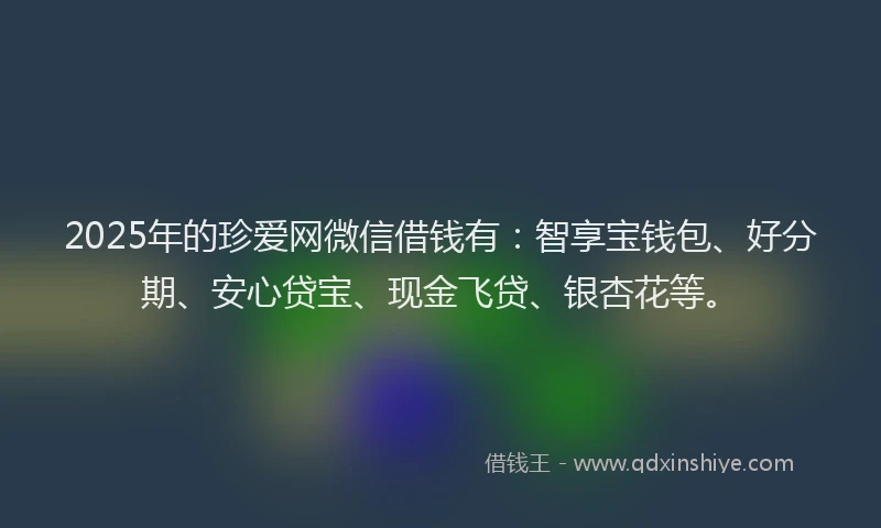 2025年的珍爱网微信借钱有:智享宝钱包、好分期、安心贷宝、现金飞贷、银杏花等。