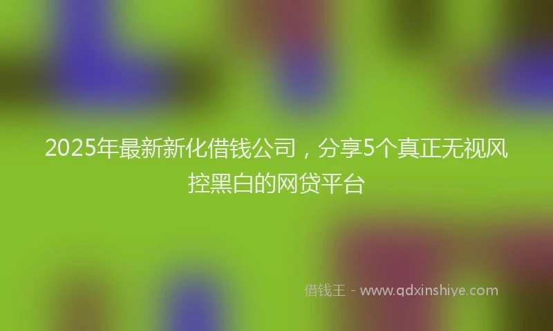 2025年最新新化借钱公司，分享5个真正无视风控黑白的网贷平台