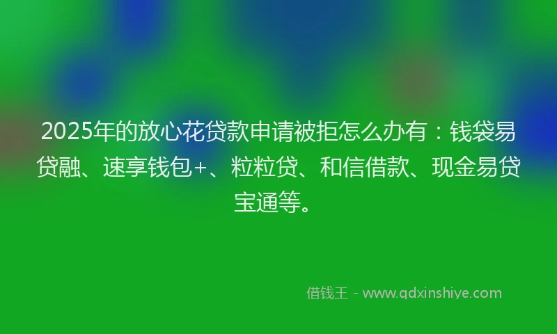 2025年的放心花贷款申请被拒怎么办有：钱袋易贷融、速享钱包+、粒粒贷、和信借款、现金易贷宝通等。