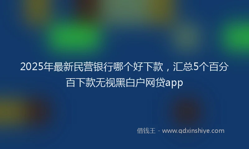 2025年最新民营银行哪个好下款，汇总5个百分百下款无视黑白户网贷app
