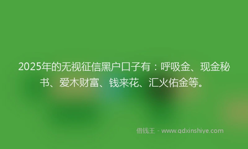2025年的无视征信黑户口子有：呼吸金、现金秘书、爱木财富、钱来花、汇火佑金等。