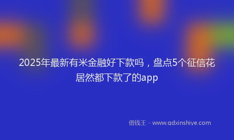 2025年最新有米金融好下款吗，盘点5个征信花居然都下款了的app