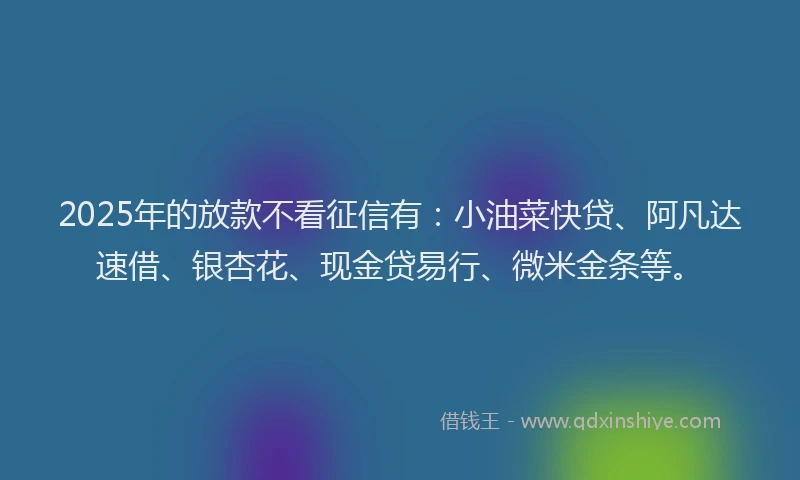 2025年的放款不看征信有：小油菜快贷、阿凡达速借、银杏花、现金贷易行、微米金条等。