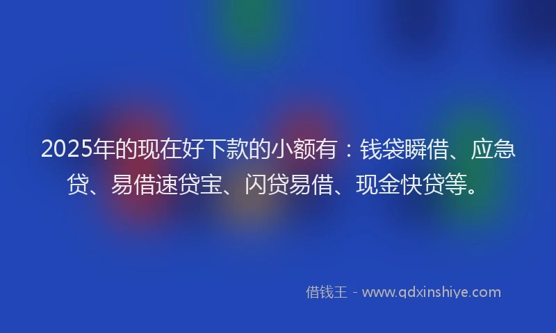 2025年的现在好下款的小额有：钱袋瞬借、应急贷、易借速贷宝、闪贷易借、现金快贷等。