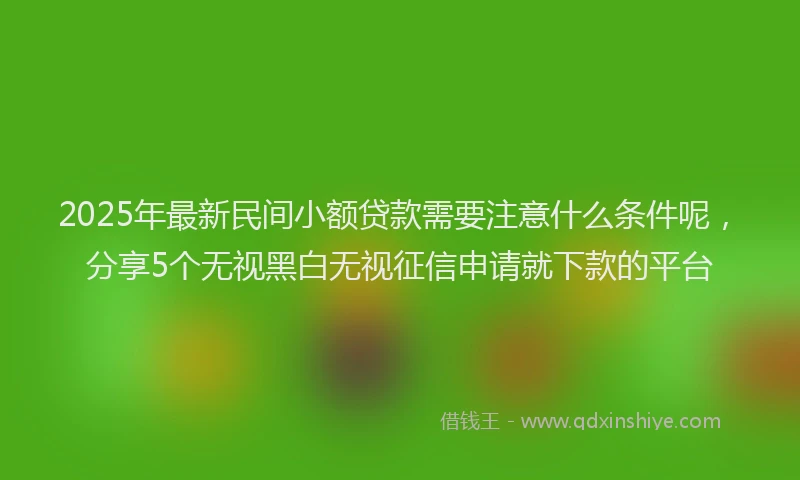 2025年最新民间小额贷款需要注意什么条件呢，分享5个无视黑白无视征信申请就下款的平台