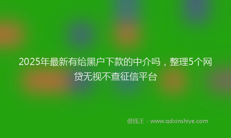 2025年最新有给黑户下款的中介吗，整理5个网贷无视不查征信平台