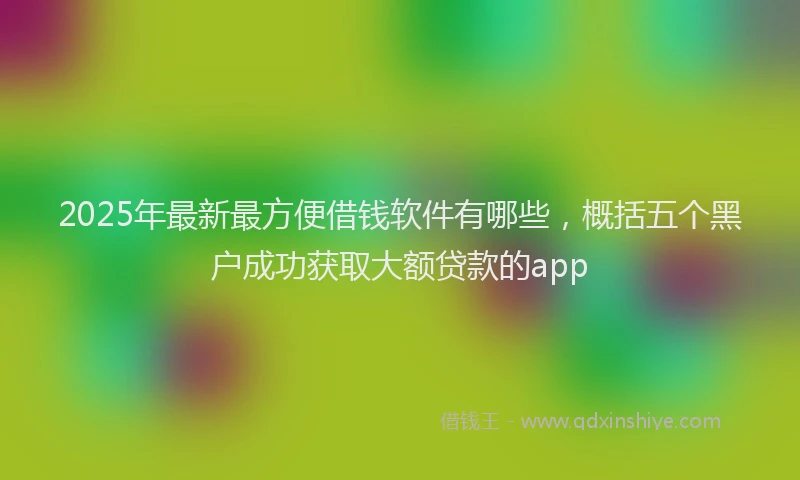 2025年最新最方便借钱软件有哪些，概括五个黑户成功获取大额贷款的app