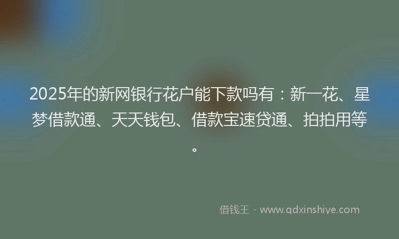 2025年的新网银行花户能下款吗有：新一花、星梦借款通、天天钱包、借款宝速贷通、拍拍用等。