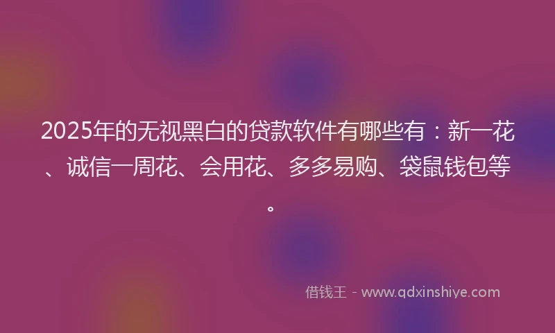 2025年的无视黑白的贷款软件有哪些有：新一花、诚信一周花、会用花、多多易购、袋鼠钱包等。