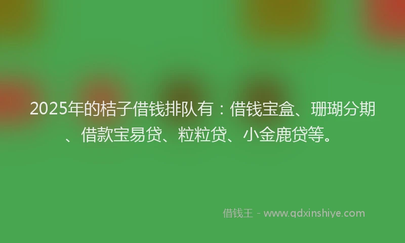 2025年的桔子借钱排队有：借钱宝盒、珊瑚分期、借款宝易贷、粒粒贷、小金鹿贷等。