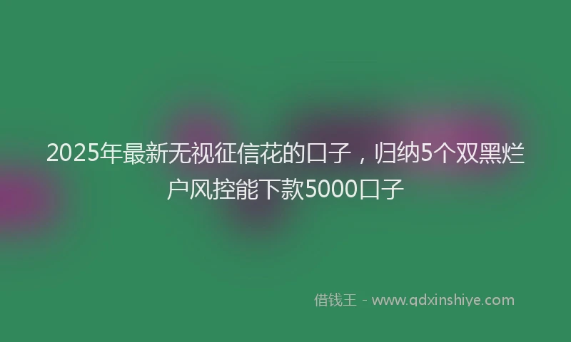 2025年最新无视征信花的口子，归纳5个双黑烂户风控能下款5000口子