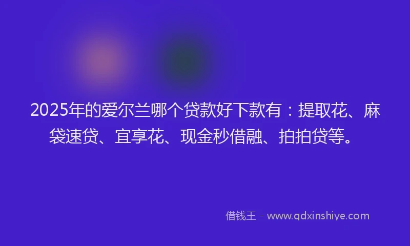 2025年的爱尔兰哪个贷款好下款有：提取花、麻袋速贷、宜享花、现金秒借融、拍拍贷等。
