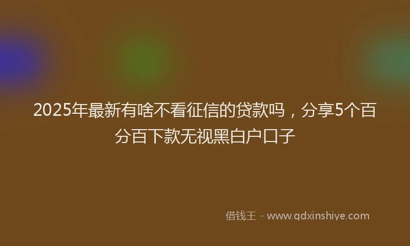 2025年最新有啥不看征信的贷款吗，分享5个百分百下款无视黑白户口子