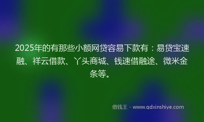 2025年的有那些小额网贷容易下款有：易贷宝速融、祥云借款、丫头商城、钱速借融途、微米金条等。