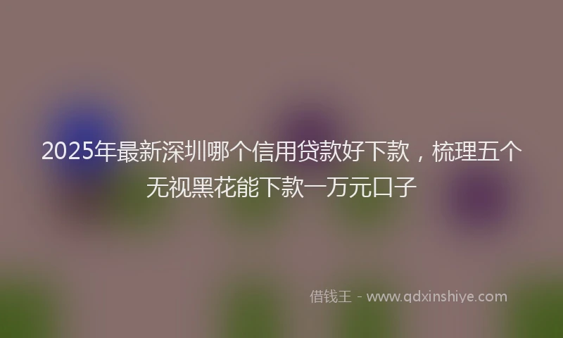 2025年最新深圳哪个信用贷款好下款，梳理五个无视黑花能下款一万元口子
