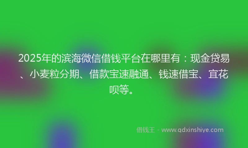 2025年的滨海微信借钱平台在哪里有：现金贷易、小麦粒分期、借款宝速融通、钱速借宝、宜花呗等。