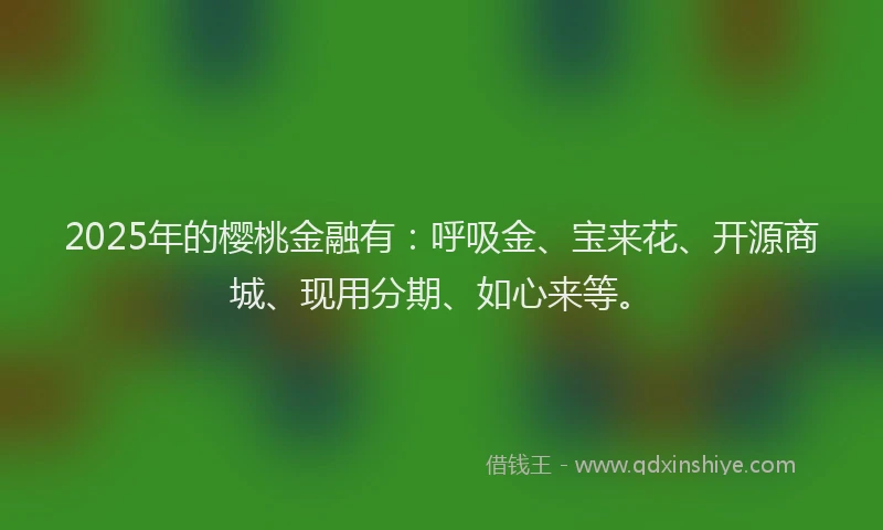 2025年的樱桃金融有：呼吸金、宝来花、开源商城、现用分期、如心来等。