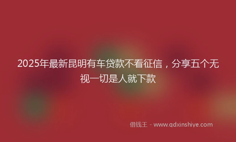 2025年最新昆明有车贷款不看征信，分享五个无视一切是人就下款
