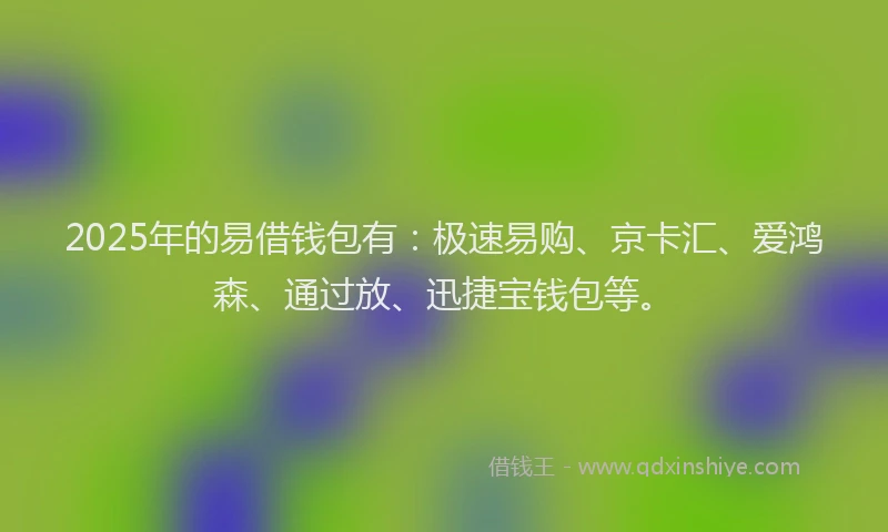 2025年的易借钱包有：极速易购、京卡汇、爱鸿森、通过放、迅捷宝钱包等。