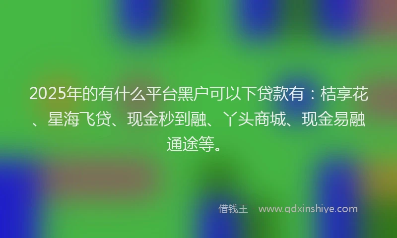 2025年的有什么平台黑户可以下贷款有：桔享花、星海飞贷、现金秒到融、丫头商城、现金易融通途等。