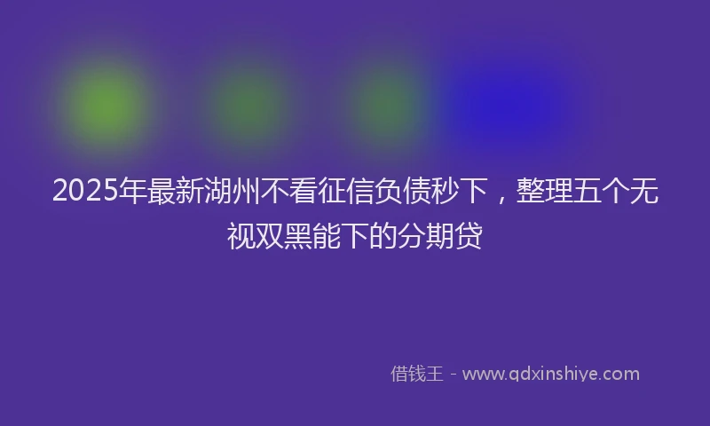 2025年最新湖州不看征信负债秒下，整理五个无视双黑能下的分期贷