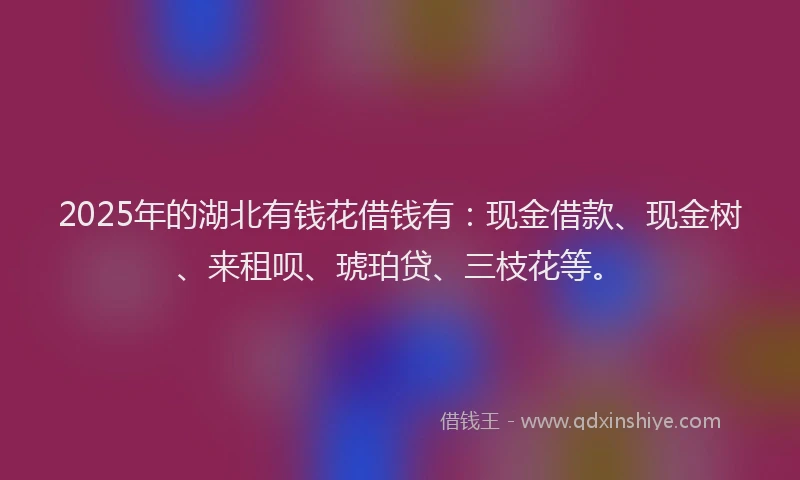 2025年的湖北有钱花借钱有：现金借款、现金树、来租呗、琥珀贷、三枝花等。