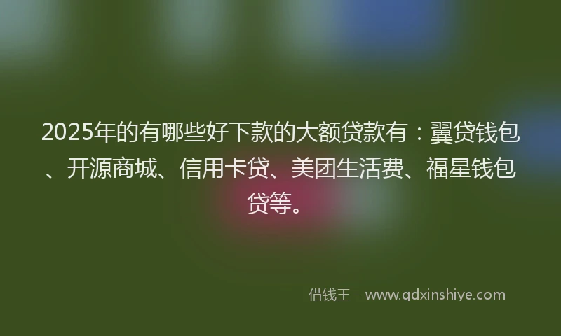 2025年的有哪些好下款的大额贷款有：翼贷钱包、开源商城、信用卡贷、美团生活费、福星钱包贷等。