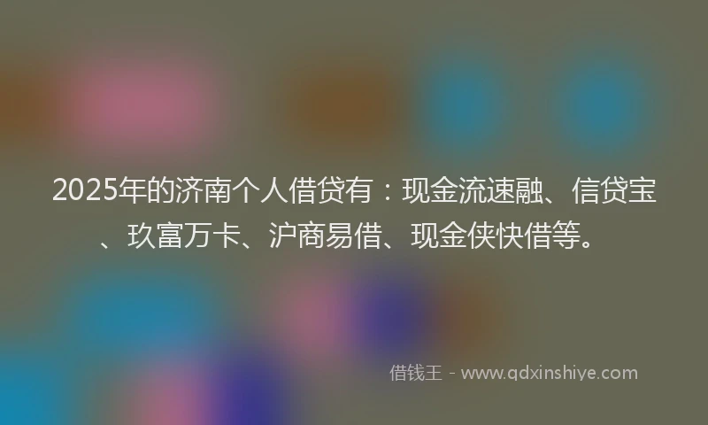 2025年的济南个人借贷有：现金流速融、信贷宝、玖富万卡、沪商易借、现金侠快借等。