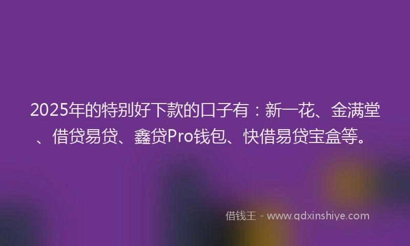 2025年的特别好下款的口子有：新一花、金满堂、借贷易贷、鑫贷Pro钱包、快借易贷宝盒等。