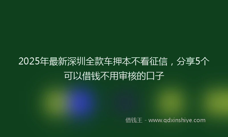 2025年最新深圳全款车押本不看征信，分享5个可以借钱不用审核的口子