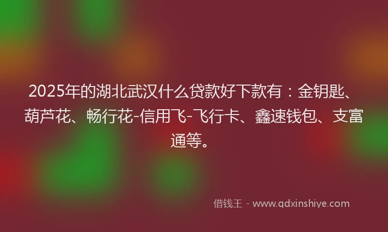 2025年的湖北武汉什么贷款好下款有：金钥匙、葫芦花、畅行花-信用飞-飞行卡、鑫速钱包、支富通等。