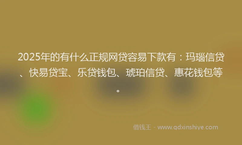 2025年的有什么正规网贷容易下款有：玛瑙信贷、快易贷宝、乐贷钱包、琥珀信贷、惠花钱包等。