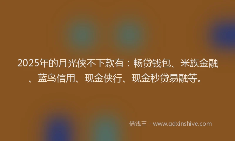 2025年的月光侠不下款有：畅贷钱包、米族金融、蓝鸟信用、现金侠行、现金秒贷易融等。
