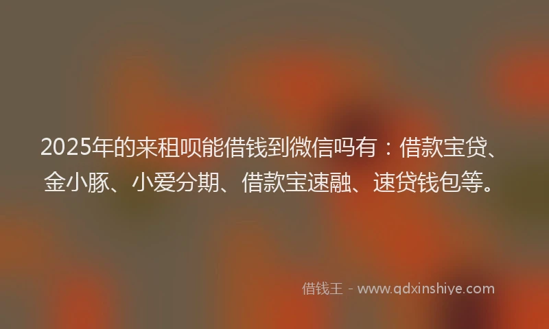 2025年的来租呗能借钱到微信吗有：借款宝贷、金小豚、小爱分期、借款宝速融、速贷钱包等。