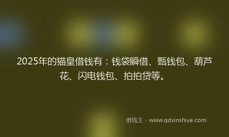 2025年的猫皇借钱有：钱袋瞬借、甄钱包、葫芦花、闪电钱包、拍拍贷等。